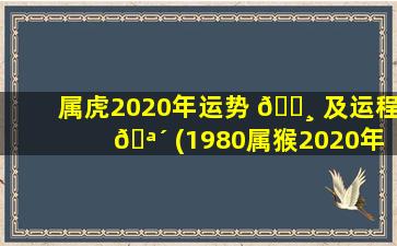 属虎2020年运势 🕸 及运程 🪴 (1980属猴2020年运势及运程)